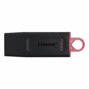 256 GB Kingston USB Memory Stick